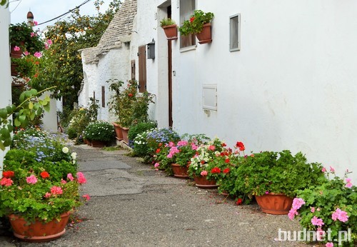 Alberobello